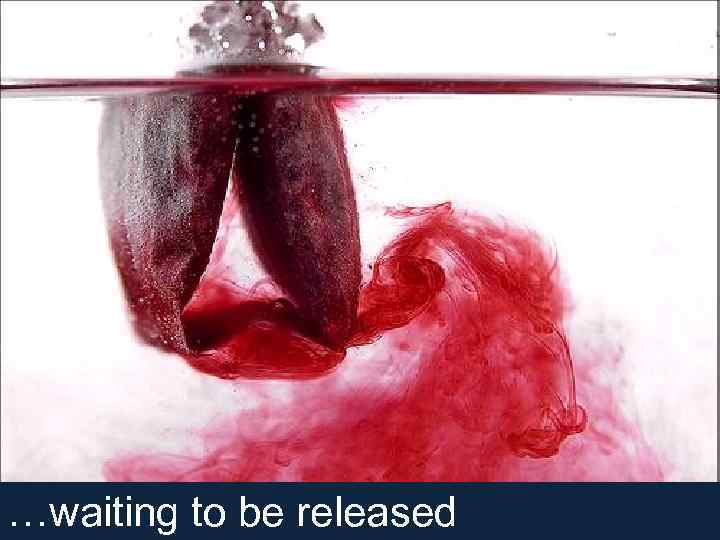 …waiting to be released 