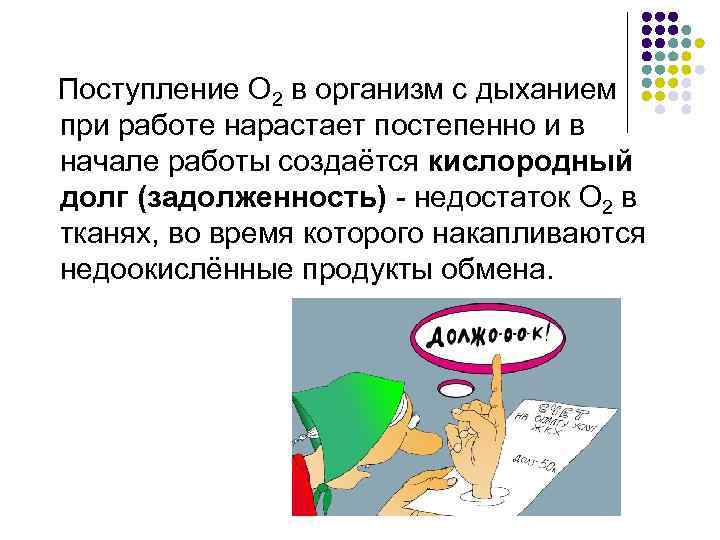 Поступление О 2 в организм с дыханием при работе нарастает постепенно и в начале