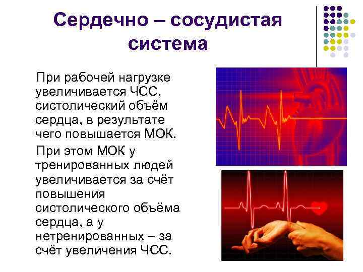 Повышение частоты пульса. Систолический объем при нагрузке. Частота сердечных сокращений и минутный объем крови. Систолический и минутный объем сердца. Увеличение систолического объема.