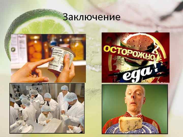 Заключение 