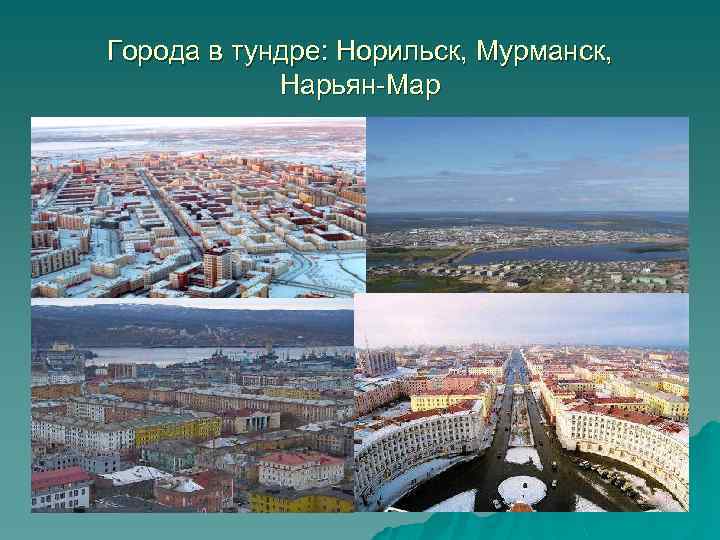 Города в тундре: Норильск, Мурманск, Нарьян-Мар 