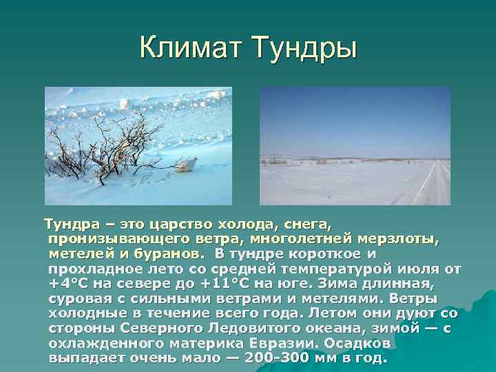 Климат Тундры Тундра – это царство холода, снега, пронизывающего ветра, многолетней мерзлоты, метелей и