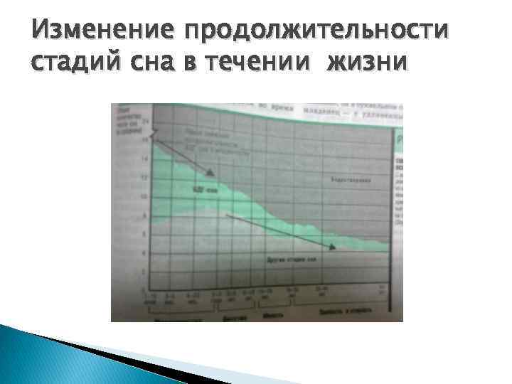 Изменение продолжительности стадий сна в течении жизни 