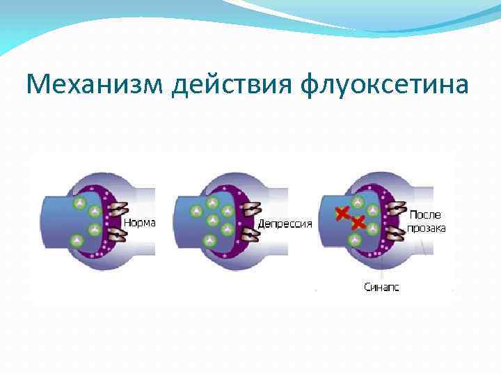 Механизм действия флуоксетина 