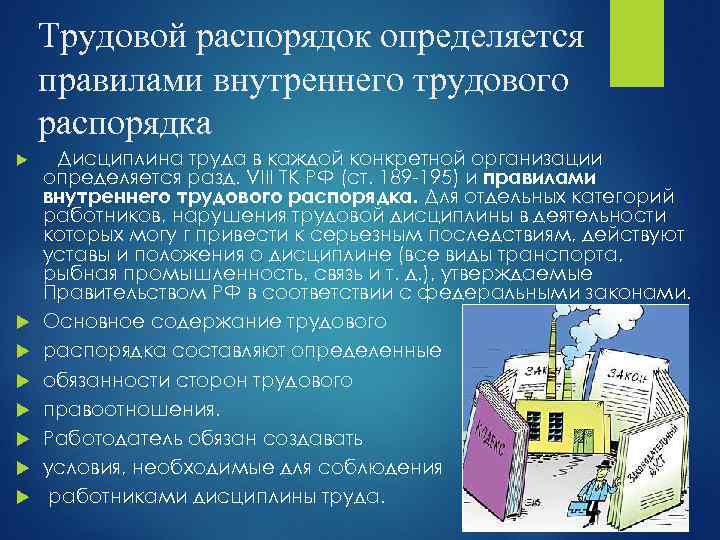 Трудовой распорядок определяется правилами внутреннего трудового распорядка Дисциплина труда в каждой конкретной организации определяется