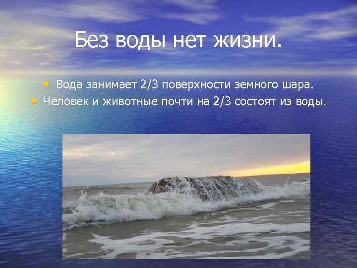 Без воды нет жизни. • Вода занимает 2/3 поверхности земного шара. • Человек и