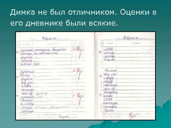 Димка не был отличником. Оценки в его дневнике были всякие. 