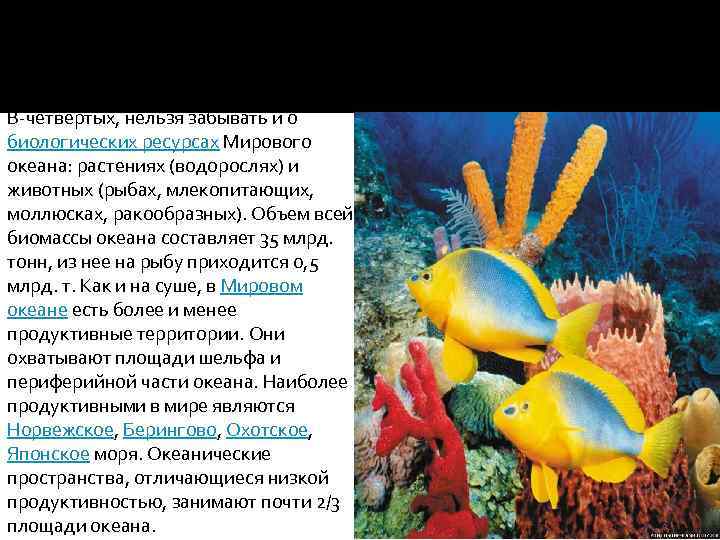 В-четвертых, нельзя забывать и о биологических ресурсах Мирового океана: растениях (водорослях) и животных (рыбах,