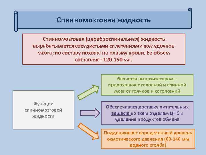 Спинномозговая жидкость Спинномозговая (цереброспинальная) жидкость вырабатывается сосудистыми сплетениями желудочков мозга; по составу похожа на