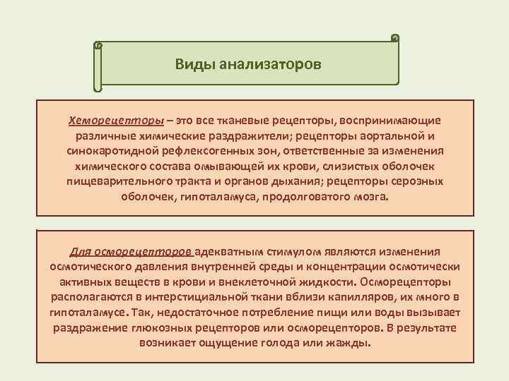 Анализаторы презентация пименова