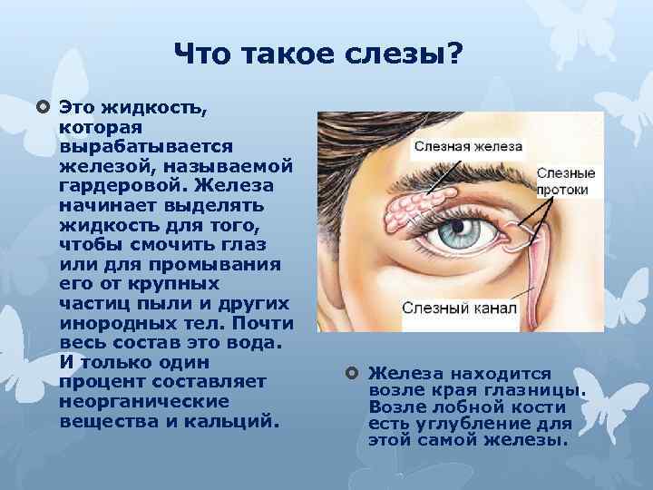 Что такое слезы? Это жидкость, которая вырабатывается железой, называемой гардеровой. Железа начинает выделять жидкость
