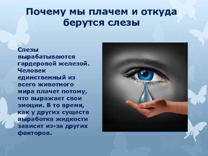 Почему мы плачем и откуда берутся слезы Слезы вырабатываются гардеровой железой. Человек единственный из