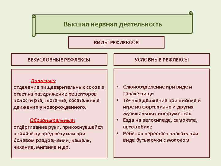 Виды пищевых рефлексов