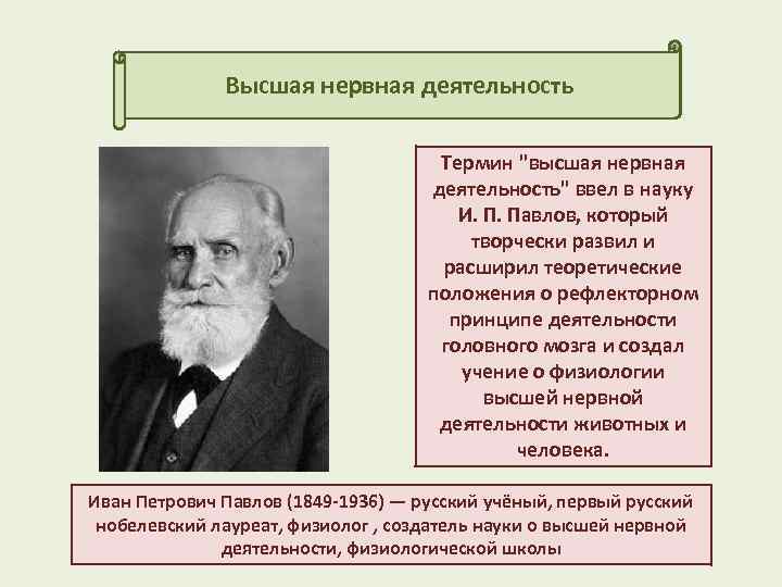 Высшая нервная деятельность Термин 