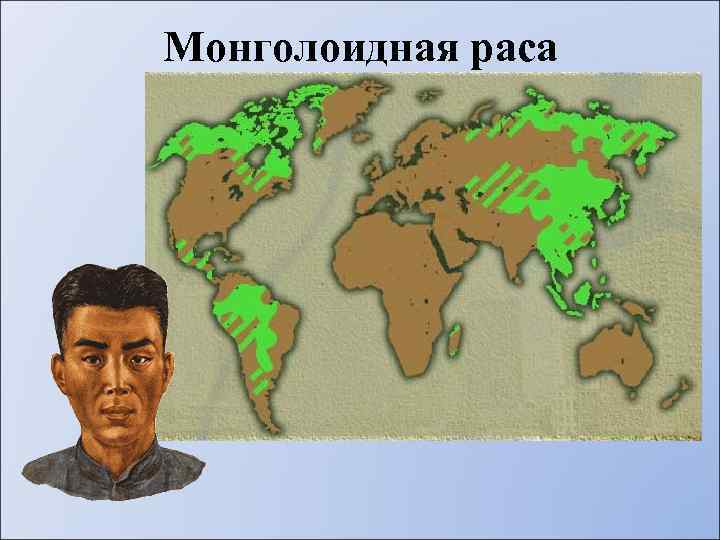 Монголоидная раса 