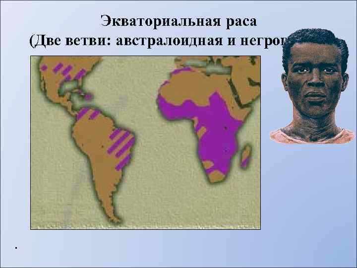 Экваториальная раса (Две ветви: австралоидная и негроидная) . 