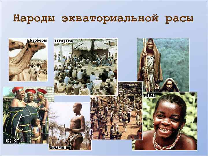 Народы экваториальной расы 