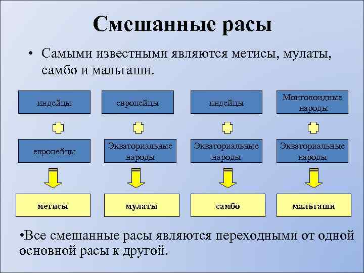 Мулаты и метисы фото