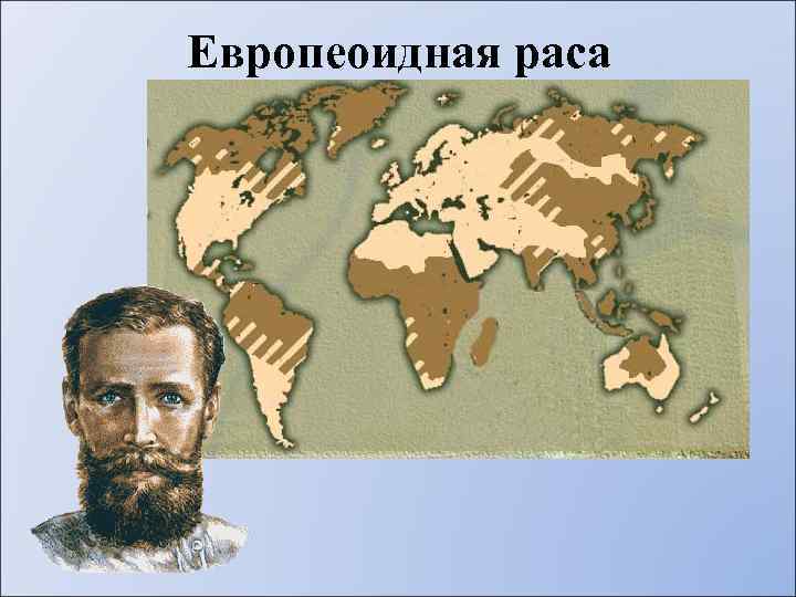 Европеоидная раса 