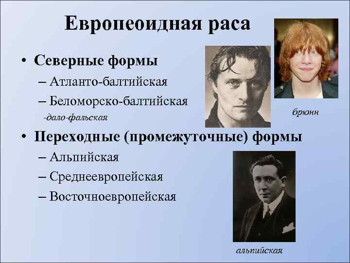 Европеоидная раса • Северные формы – Атланто-балтийская – Беломорско-балтийская брюнн -дало-фальская • Переходные (промежуточные)