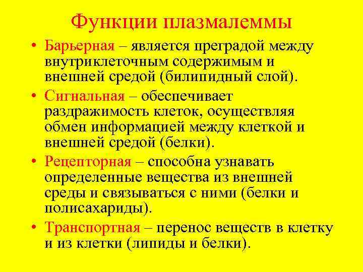 Функции плазмолеммы. Рецепторная роль плазмалеммы. Основные функции плазмалеммы. Рецепторная функция плазмалеммы. Функции плазмалеммы.