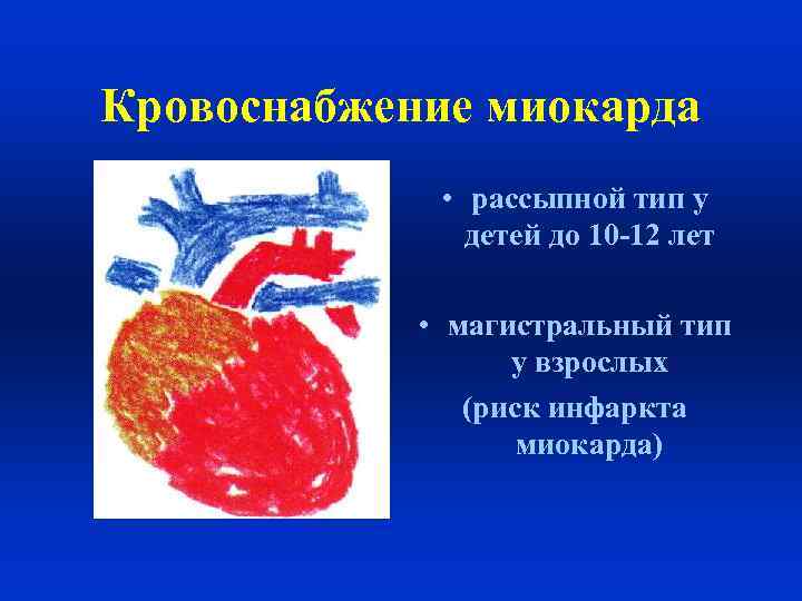 Типы кровообращения