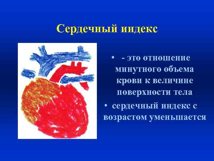 Сердечный индекс • - это отношение минутного объема крови к величине поверхности тела •