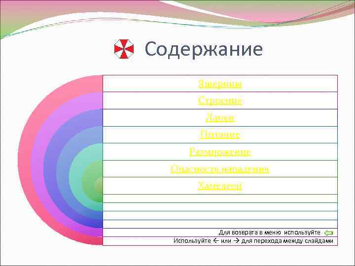 Содержание Ящерицы Строение Лапки Питание Размножение Опасность нападения Хамелеон Для возврата в меню используйте
