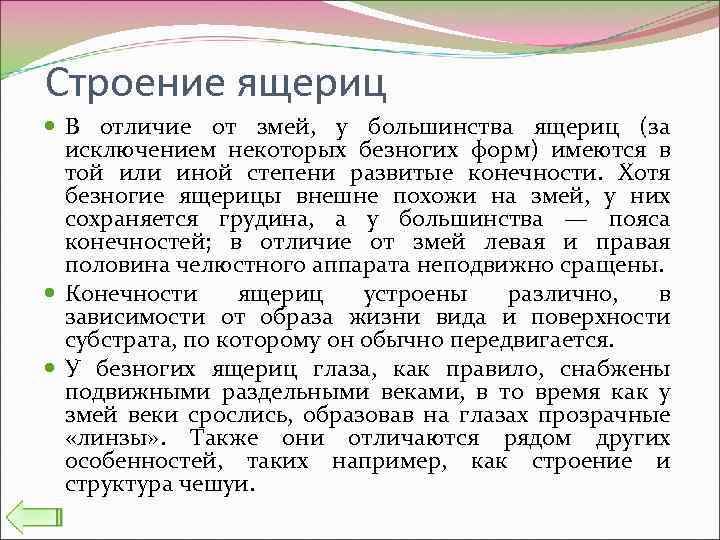 Строение ящериц В отличие от змей, у большинства ящериц (за исключением некоторых безногих форм)