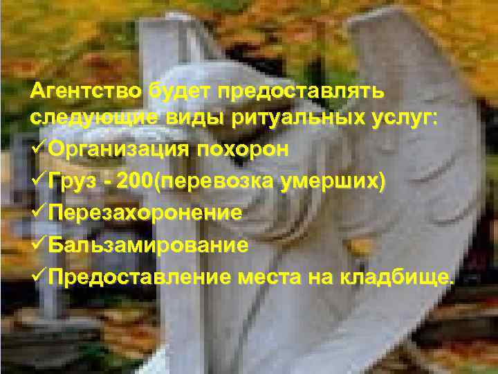 Бизнес план ритуальных услуг