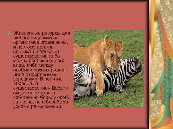 Жизненные ресурсы для любого вида живых организмов ограничены, и поэтому должна возникать борьба за