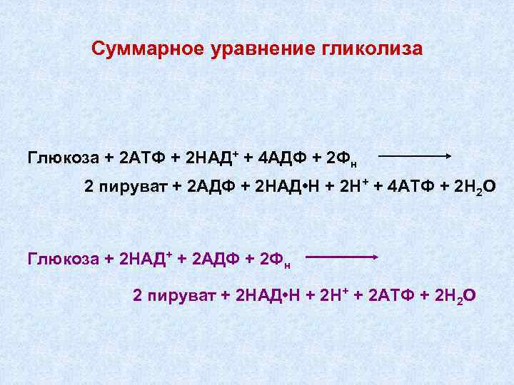 Суммарное уравнение гликолиза Глюкоза + 2 АТФ + 2 НАД+ + 4 АДФ +