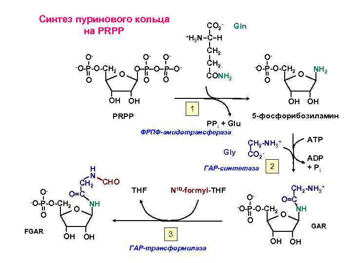 Синтез пуринового кольца на PRPP O- O-O-P-O-CH 2 O O OH CO 2+H 3