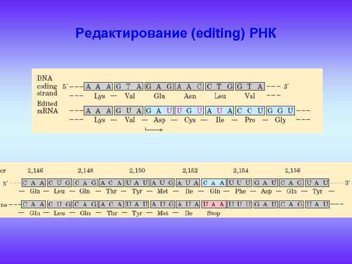 Редактирование (editing) РНК 