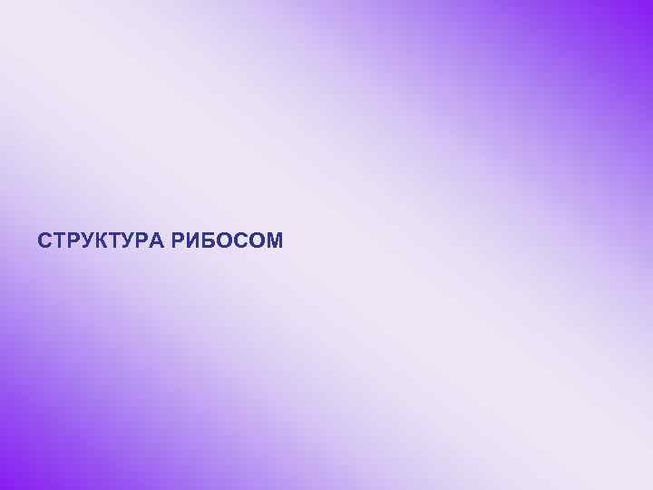 СТРУКТУРА РИБОСОМ 