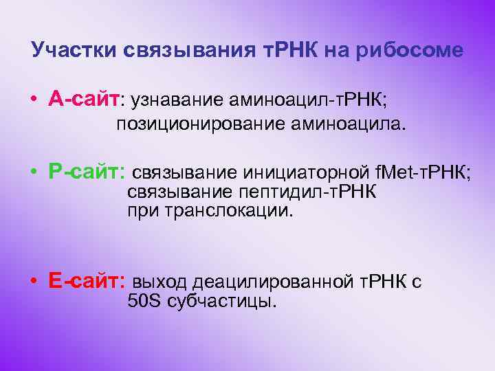 Участки связывания т. РНК на рибосоме • А-сайт: узнавание аминоацил-т. РНК; позиционирование аминоацила. •