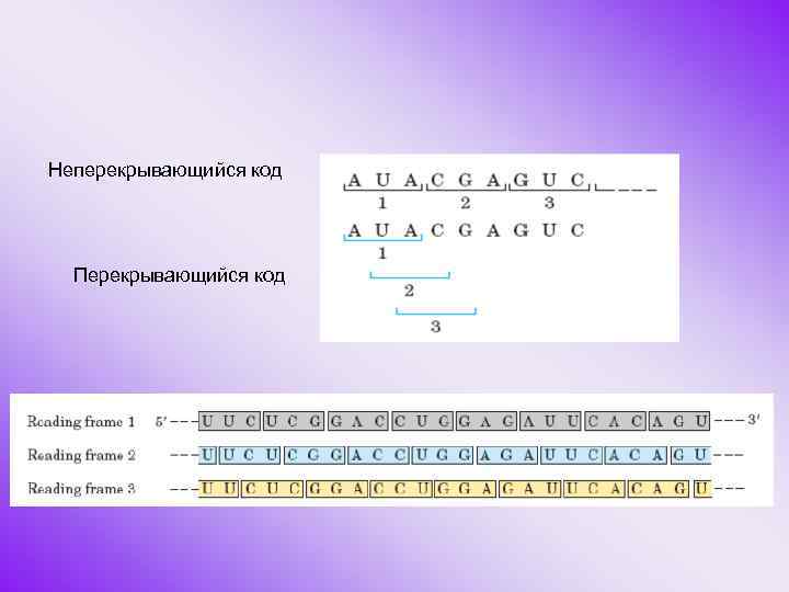 Неперекрывающийся код Перекрывающийся код 