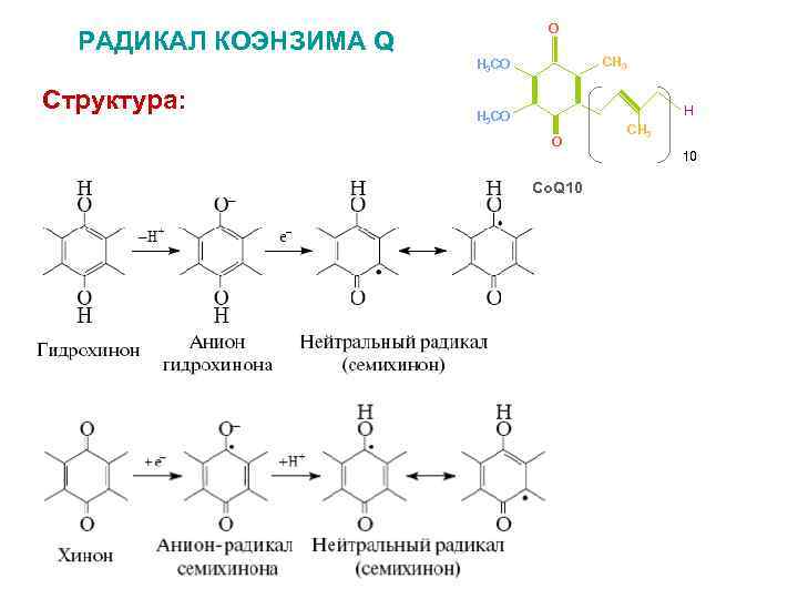 Признаки радикалов