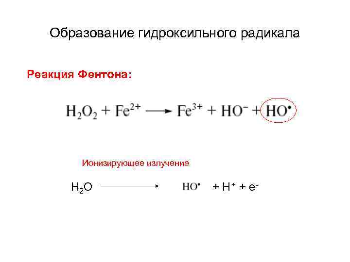 Образование гидроксильного радикала Реакция Фентона: Ионизирующее излучение Н 2 О + Н + +