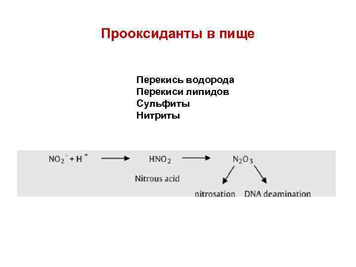 Прооксиданты в пище Перекись водорода Перекиси липидов Сульфиты Нитриты 