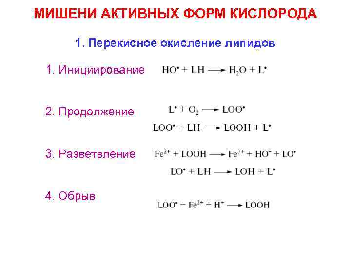 МИШЕНИ АКТИВНЫХ ФОРМ КИСЛОРОДА 1. Перекисное окисление липидов 1. Инициирование 2. Продолжение 3. Разветвление