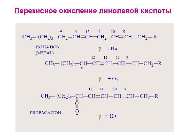 Перекисное окисление линолевой кислоты 