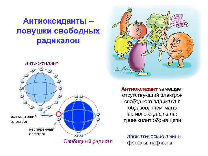 Антиоксиданты – ловушки свободных радикалов антиоксидант Антиоксидант замещает отсутствующий электрон свободного радикала с образованием