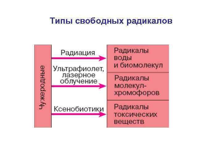 Типы свободных радикалов 