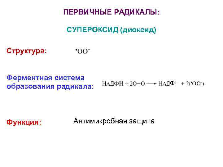 ПЕРВИЧНЫЕ РАДИКАЛЫ: СУПЕРОКСИД (диоксид) Структура: Ферментная система образования радикала: Функция: Антимикробная защита Ф+ 