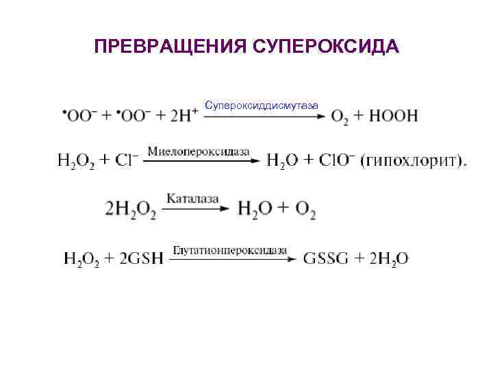 ПРЕВРАЩЕНИЯ СУПЕРОКСИДА Супероксиддисмутаза 