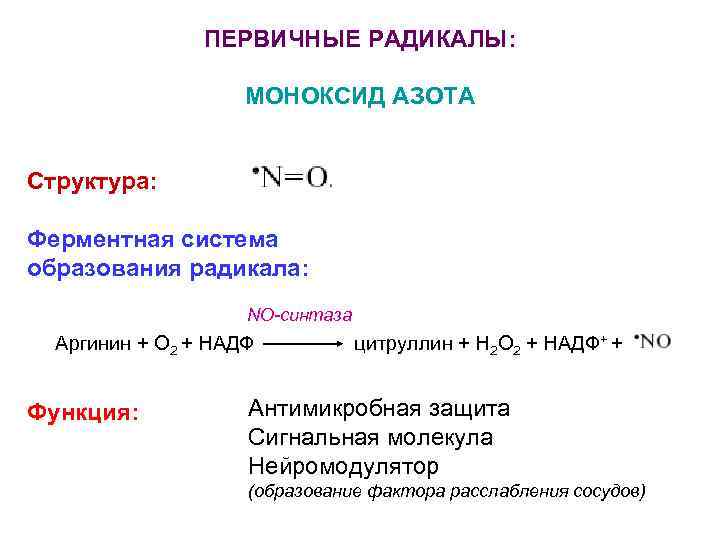 ПЕРВИЧНЫЕ РАДИКАЛЫ: МОНОКСИД АЗОТА Структура: Ферментная система образования радикала: NO-синтаза Аргинин + О 2