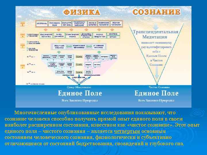 Единое поле теория