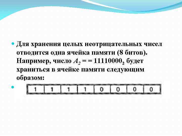  Для хранения целых неотрицательных чисел отводится одна ячейка памяти (8 битов). Например, число