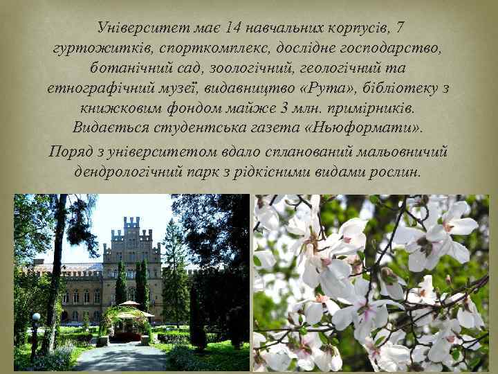 Університет має 14 навчальних корпусів, 7 гуртожитків, спорткомплекс, дослідне господарство, ботанічний сад, зоологічний, геологічний